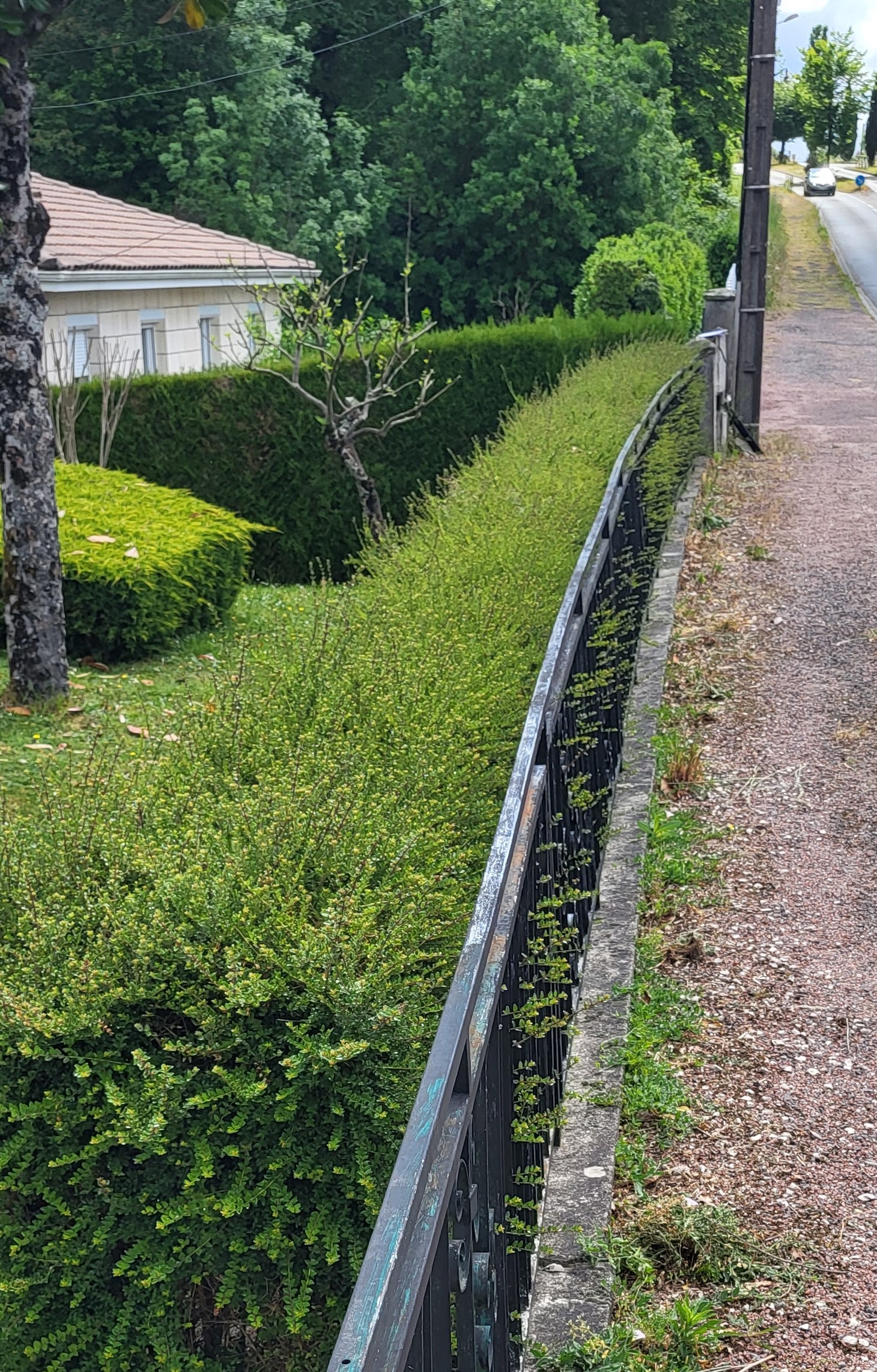 barrière jardin bâtiment